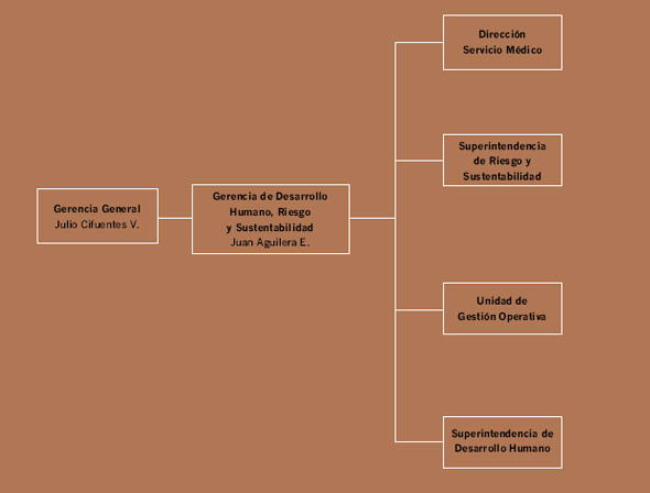 Ver gráfico ampliado