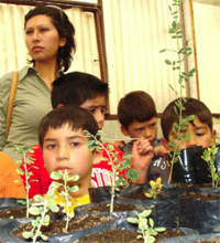 Imagen foto_01648