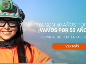 Reporte de Sustentabilidad 2021