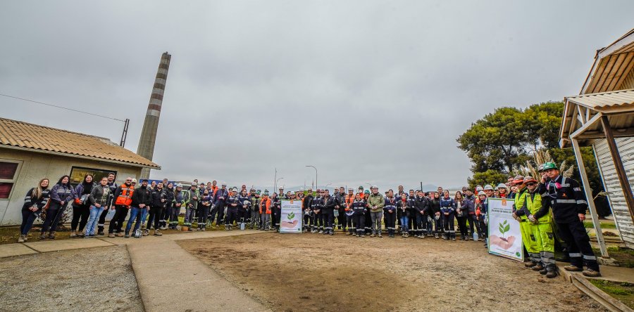 Codelco División Ventanas conmemoró el Día Mundial del Medio Ambiente plantando árboles nativos en sus instalaciones