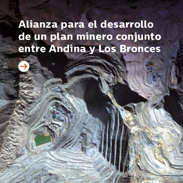 Banner home alianza
