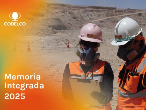 Memoria Integrada 2025